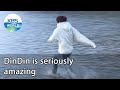 DinDin is seriously amazing (2 Days & 1 Night Season 4) | KBS WORLD TV 210124