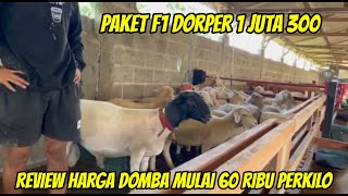 REVIEW HARGA DOMBA TERMURAH MULAI 60 RIBU / KG DAN PAKET F1 DORPER 1JUTA 300 DI FILOSOFI DOMBA FARM