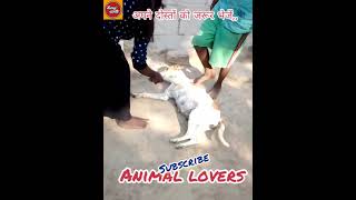 Gori Tera gaon bada pyara #village #intertainment #status #viral #trending #ytshorts #bhojpuri