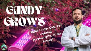 160W Under canopy Lighting Review