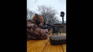 Custom 260 Remington quick fire