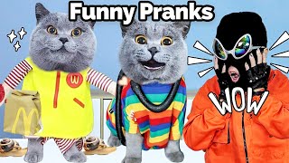 Oscar’s TOP SURPRISING Prank Video Revealed! 🤪| Oscar‘s Funny World | New Funny Cat Videos 2023