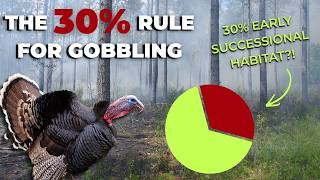 Scale of management for turkeys | Ep 156