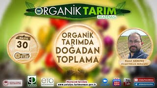 Organik Tarım Akademisi-10 Organik Tarımda Doğadan Toplama  Zir. Yük. Müh. Kamil Karataş