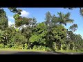 Byodo-In Temple-The Japanese Buddhist Temple in Hawaii *A Must See * 平等院 夏威夷