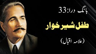 Tifl e sheer khwar ||Allama iqbal's poem || Baang e dara 33 || Iqbaliat