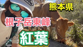 【紅葉登山】（熊本県）根子岳東峰2022年11月