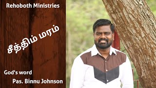 சீத்திம் மரம் Gods word By Pas Binnu Johnson