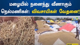 மழையில் நனைந்து வீணாகும் நெல்மணிகள்: விவசாயிகள் வேதனை!