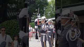 👏陸軍儀隊 精彩的交接槍法 左旋槍 右旋槍😲 #army #changingoftheguards #三軍儀隊 #禮兵交接 #陸軍儀隊