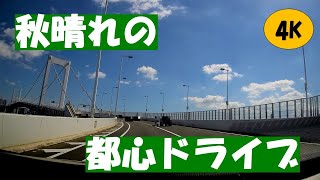 【倍速AI車載4k動画】秋晴れの首都高　関越道川越ICから首都高湾岸線浦安ランプまで