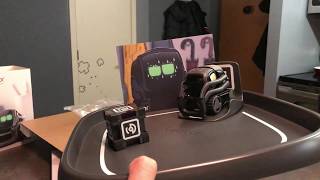 Anki Vector Unboxing and Vector Space