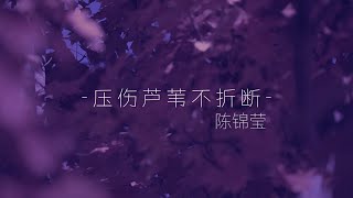 压伤芦苇不折断 - 陈锦莹 Veronica Tan（歌词版MV）