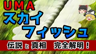 【ゆっくり解説】未確認生物UMAスカイフィッシュ　伝説とその正体！【真相解明】