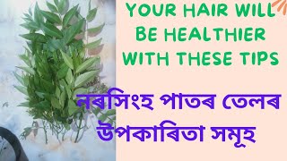 নৰসিংহ পাতৰ তেলৰ উপকাৰিতা সমূহ#hair#haircare #hairfall#dandruffcontrol