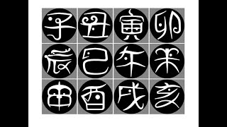 【八字eight characters】十二地支