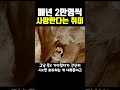 매년 2만명씩 사망한다는 취미..