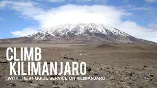 Ultimate Kilimanjaro | The #1 Guide Service on Kilimanjaro