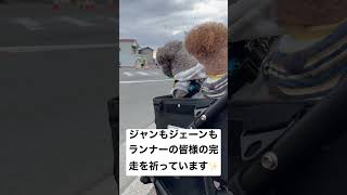 姫路城マラソンの応援やー🏃🏻‍♂️