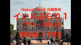 インドぶらり１ デリー INDIA -1 FEB DELHI /世界遺産 クトゥプ・ミーナール・フマユーン廟・Qutub Minar・Humayun's Tomb