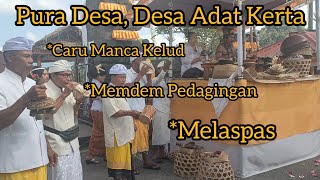 Rentetan Karya Agung Ring Pura Desa, Desa Adat Kerta #balinesecultureandhindu #ceremoney