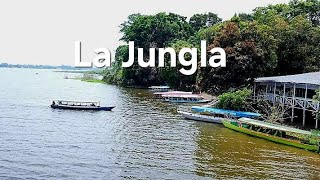 VLOG  # 2 Yarinacocha LA JUNGLA - Pucallpa