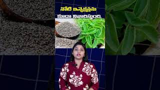 నోటి ఇన్ఫెక్షన్లను కూడా నివారిస్తుంది #vamu #ajwainbenefits #healthandwellness #healtytips #facts