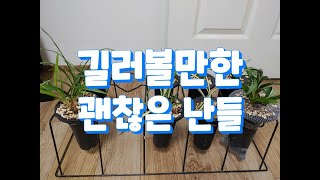 안전하고 괜찮을 난 재테크