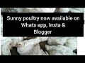 Sunny poultry contact info सनी पोल्ट्री फ़ॉर्मिंग