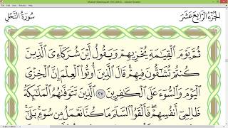 Practice reciting with correct tajweed - Page 270 (Surah An-Nahl)