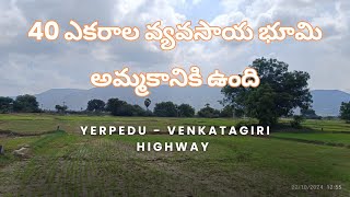 40 ఎకరాల వ్యవసాయ భూమి అమ్మకానికి ఉంది | Contact 9959075040