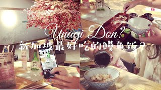 新加坡Vlog｜探店｜新加坡最好吃的鳗鱼饭？｜Uya 四代目菊川｜美食