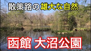 【函館】大沼公園の散策路の雄大な自然に感動しました！