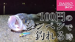 ダイソーシンペンでだけシーバスが釣れる時は【シンキングペンシル】