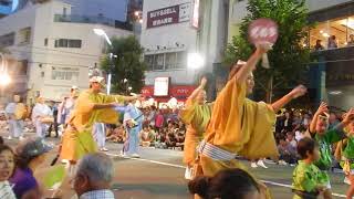 ぞめき連　2017高円寺阿波踊り