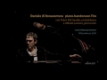 Daniele di Bonaventura trio 