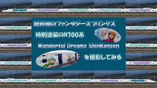 新幹線版「ファンタジースプリングス」 特別塗装車両「Wonderful Dreams Shinkansen」を撮る