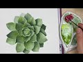 succulent watercolor painting tutorial realistic succulent painting