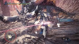 【MHW:I】殲滅の主はまた鐘を鳴らす ランス 03'29