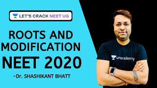 Roots and Modification | Botany | Biology | Target NEET 2020 | Dr. Shashikant Bhatt