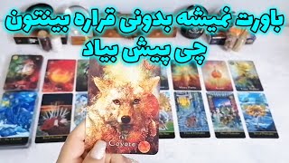 فال شراره - باورت نمیشه بدونی قراره بینتون چی پیش بیاد