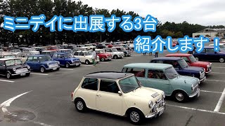 Becheree ミニデイに出展する3台のミニを紹介します！ #classicmini #rovermini #クラシックミニ #ローバーミニ #ミニ #ジャパンミニデイ