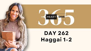 Days 262 Haggai 1-2 | Daily One Year Bible Study | Audio Bible Reading with Commentary