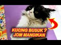 JOM PERGI MANDIKAN KUCING (MEOW MEOW) | KUCING BERSIH DAN CERIA | PAK CHU CHANNEL