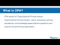 which of the 49 processes don t have eef and opa as an input