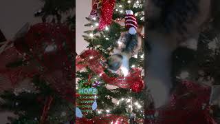 Cats vs. Christmas Trees: A rivalry as old as time 😺🎄