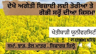 ਤੋਰੀਆ ਤੇ ਗੋਭੀ ਸਰ੍ਹੋਂ ਦੀਆ ਸਾਰੀਆਂ ਕਿਸਮਾ ,ਪੱਕਣ ਦਾ ਸਮਾਂ ,ਝਾੜ, ਤੇਲ ਮਾਤਰਾ।Musted seed varities with detail