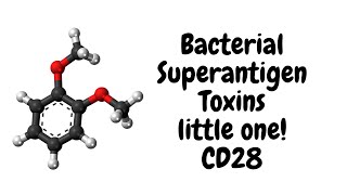 An Overview of Bacterial Superantigen Toxins,CD28, and Drug Development