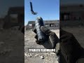 Граната flashbang