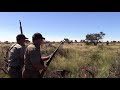 Kalahari Sable Hunt with Lew Harris Safaris